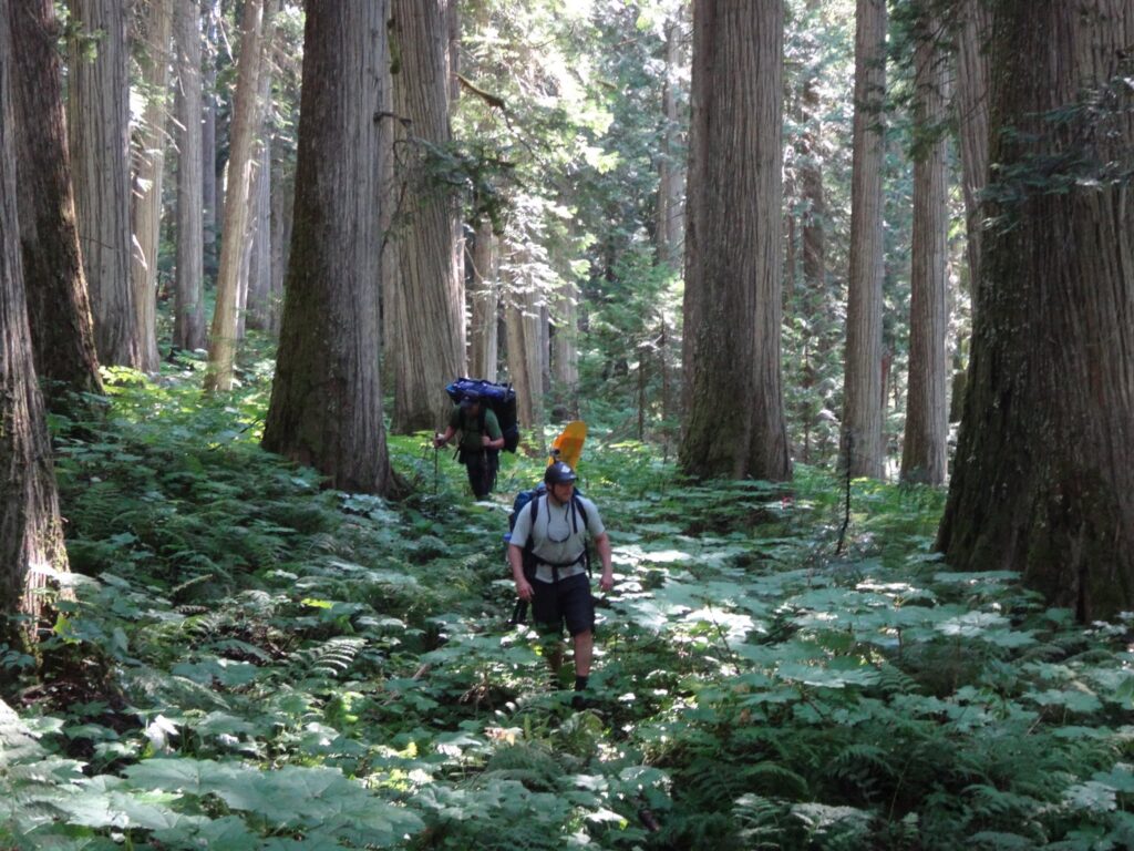 Hiking through the forest to Mitchell Lake