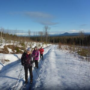 Ski Trip to Cutblock Viewpoint