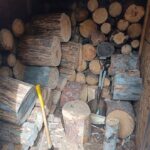 Grizzly Den - Wood Shed - Aug 2021